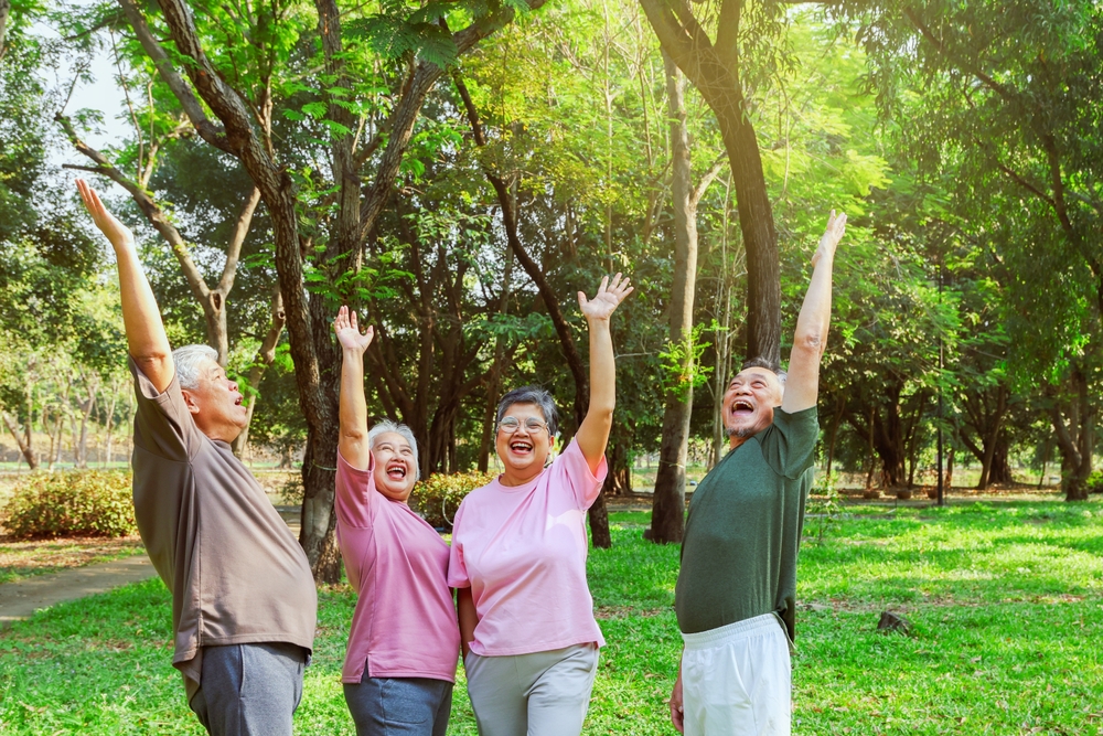 Mental Health Therapy Options